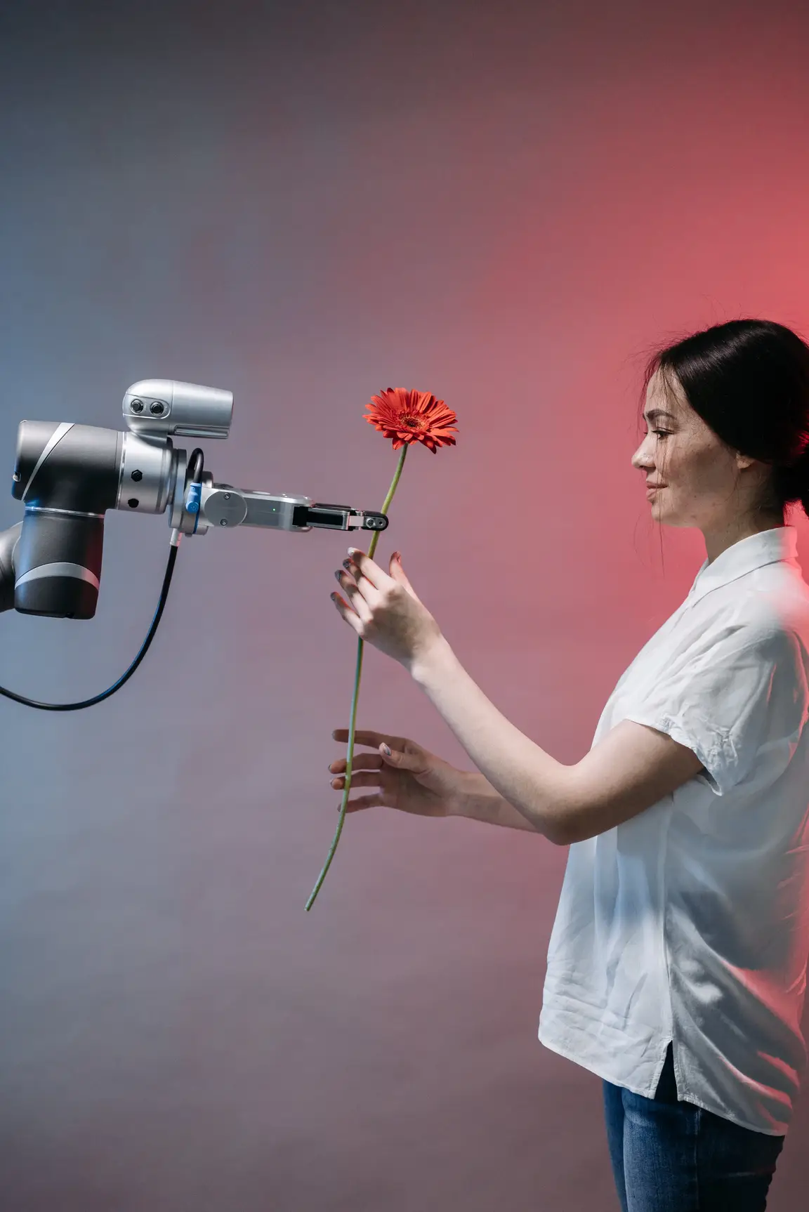 Artificial Intelligence in Vineyard
