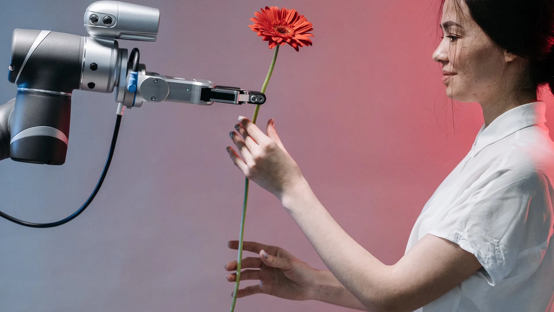 AI and Winemakers: how advanced technology can aid in the vineyard