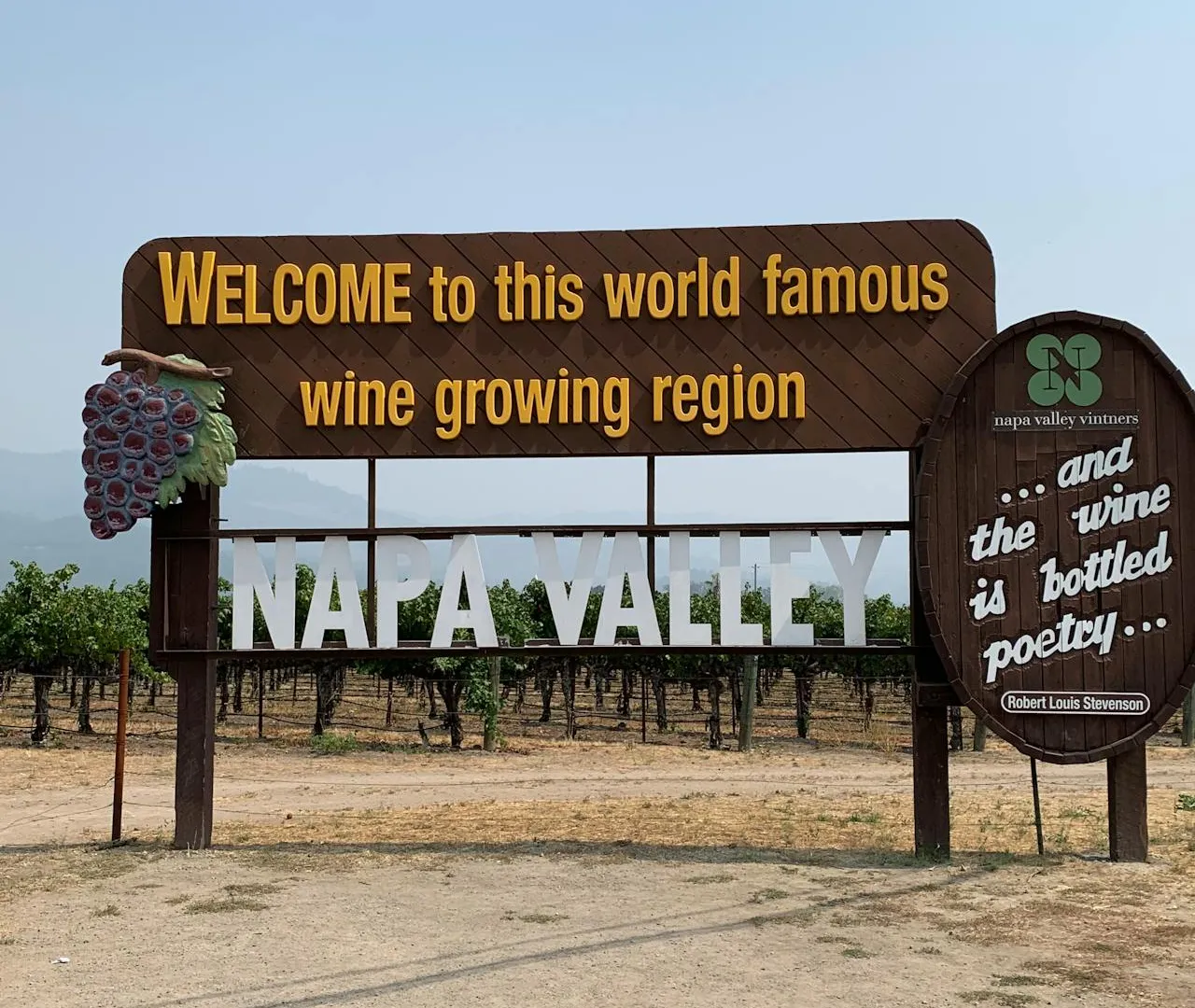 Crisi del vino in California 2025: sovrapproduzione, vigneti abbandonati e mercato vicino al collasso