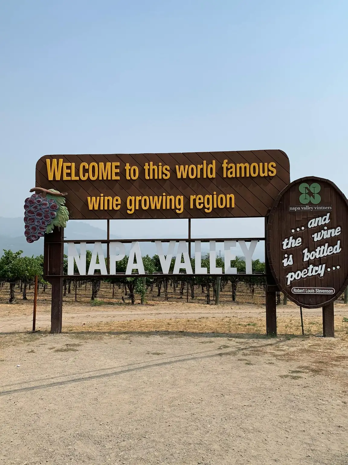 Crisi del vino in California 2025 vigneti abbandonati