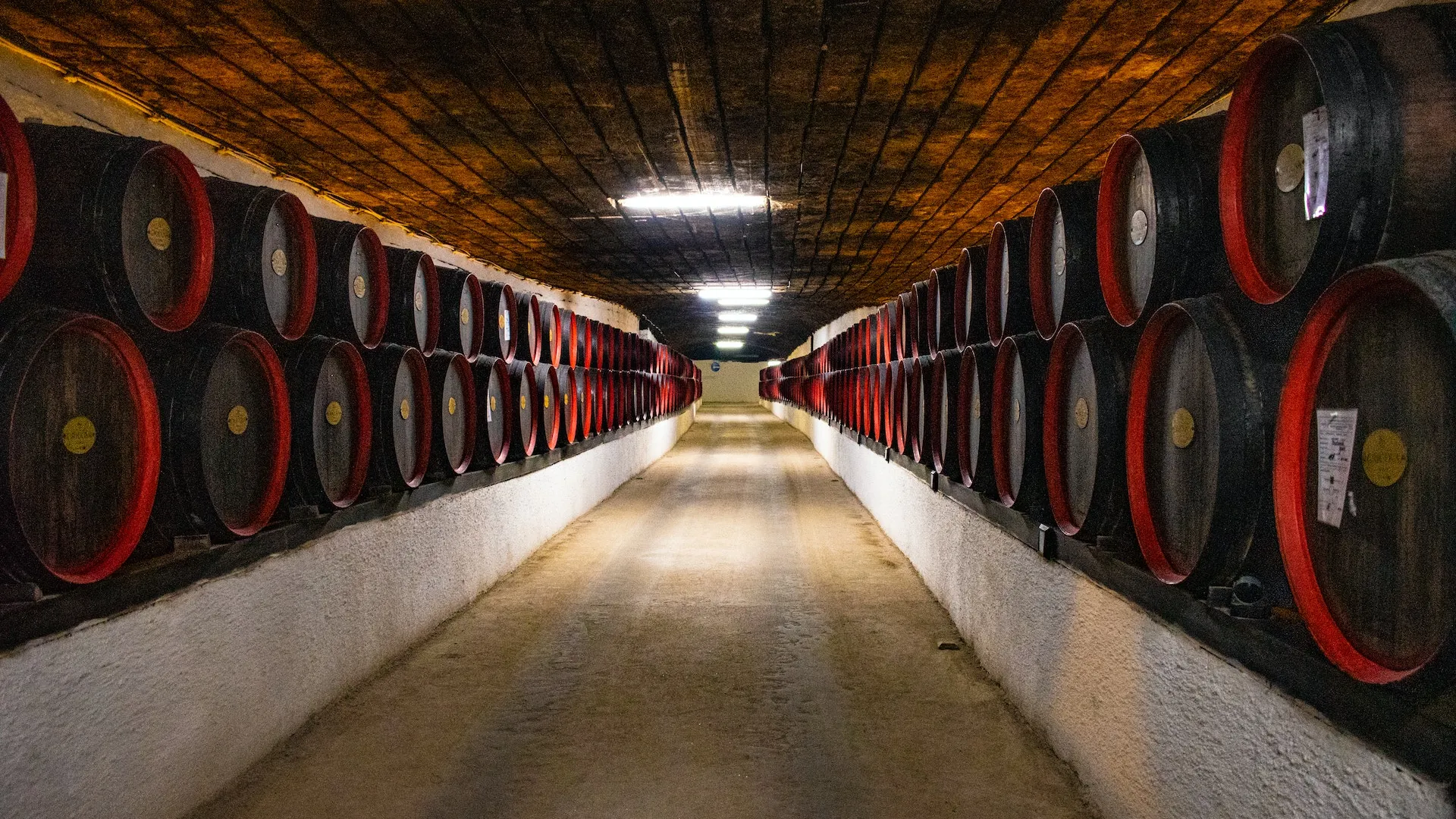 È più buono il Barolo o il Brunello? Le differenze tra Nebbiolo e Sangiovese