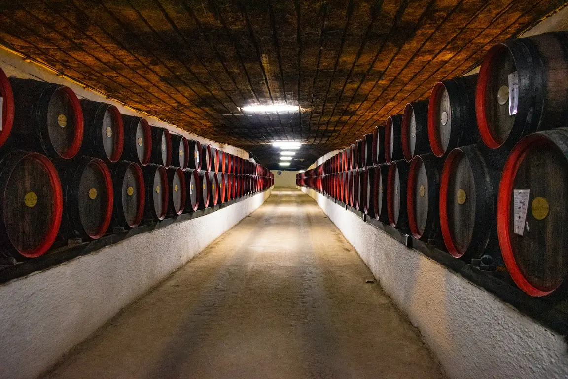Is Barolo or Brunello Better?