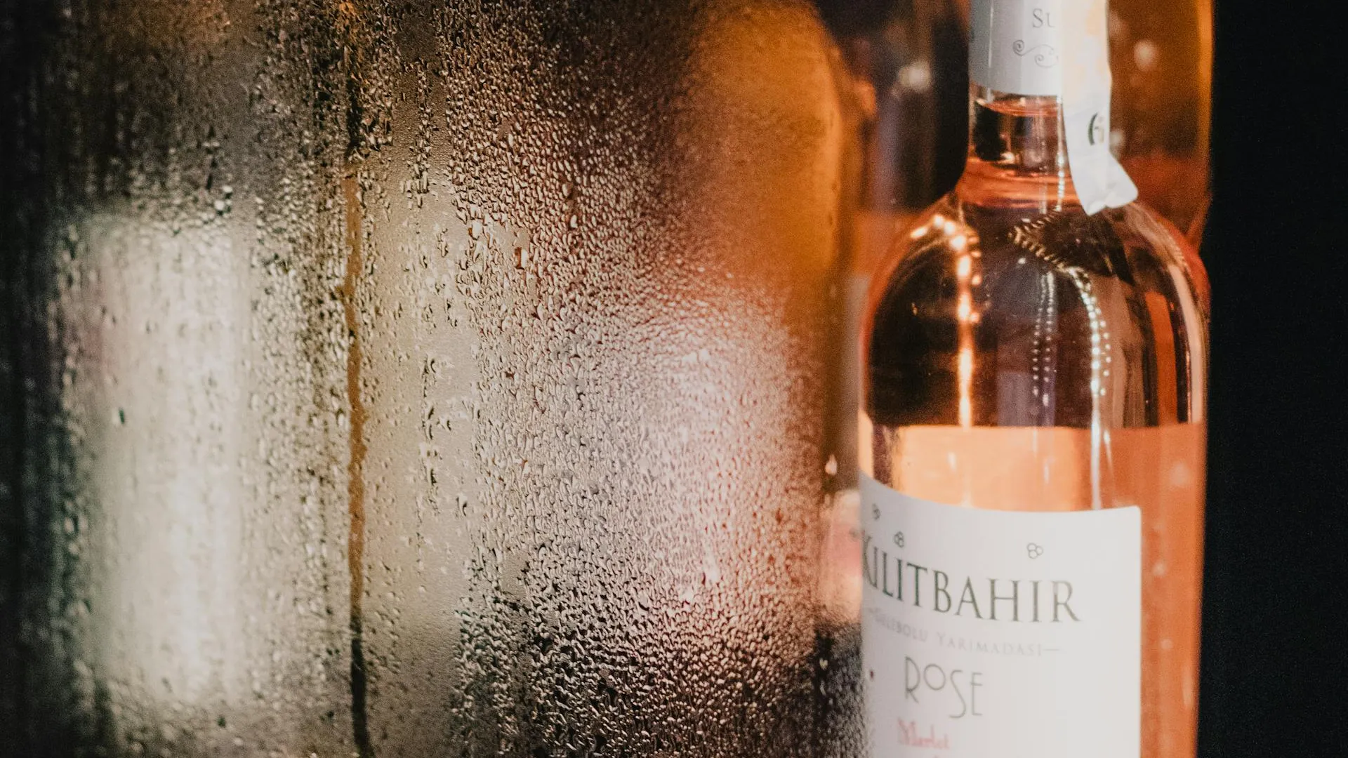 Cantinetta Vino: Guida all'Acquisto e Conservazione Ottimale