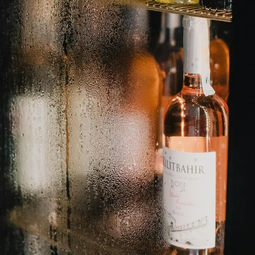 Guida all'Acquisto di Cantinetta refrigerata per i tuoi vini