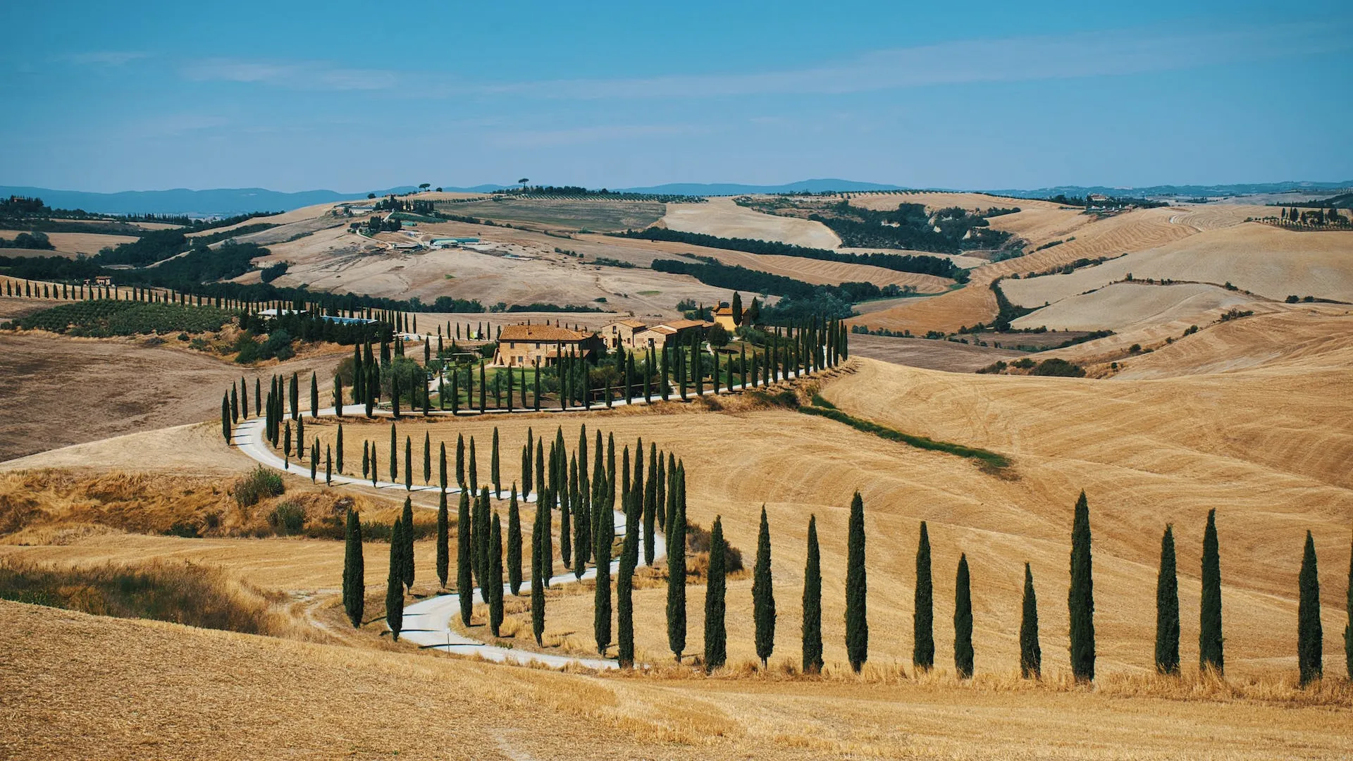 Chianti vs. Chianti Classico: exploring the subtle differences between two great Tuscan wines