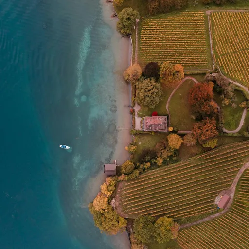 Analisi delle preferenze dei consumatori di vino dal 2000 al 2024