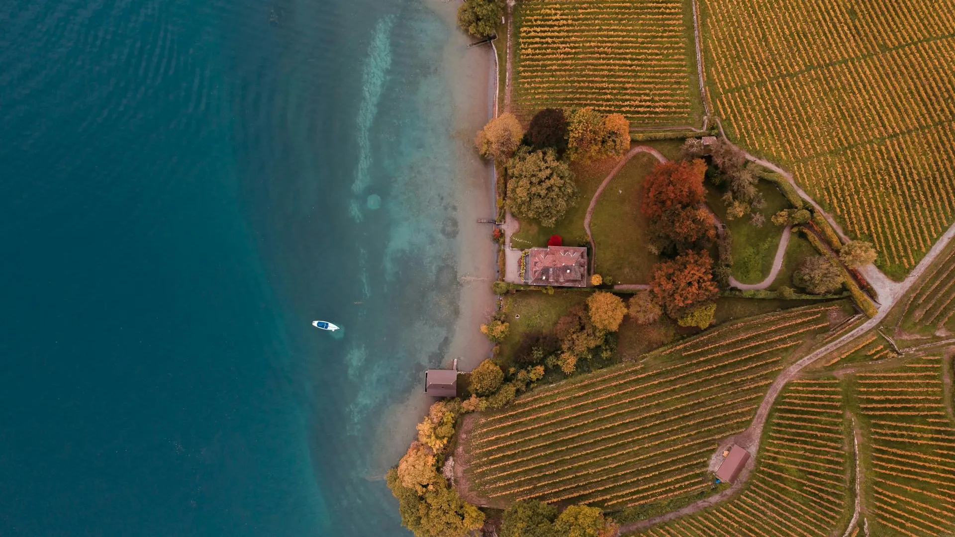 L'evoluzione delle preferenze dei consumatori di vino dal 2000 al 2024