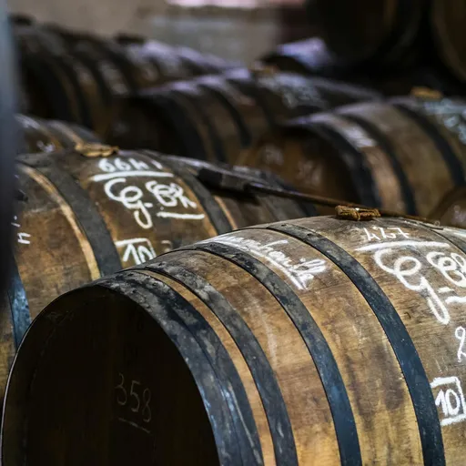 Dazi di Trump sul vino europeo 2025