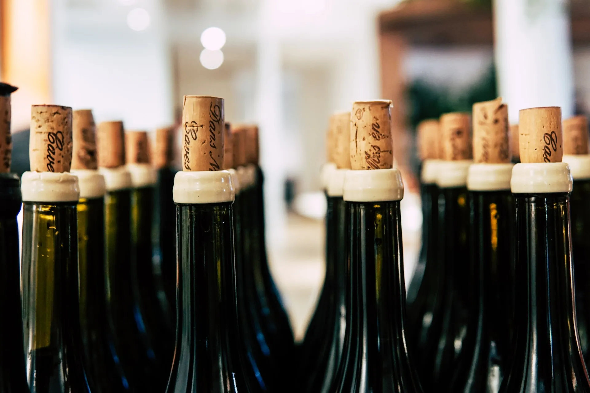 È possibile bere un buon vino sotto i 20 euro? Scopri il gusto dell'accessibilità enologica