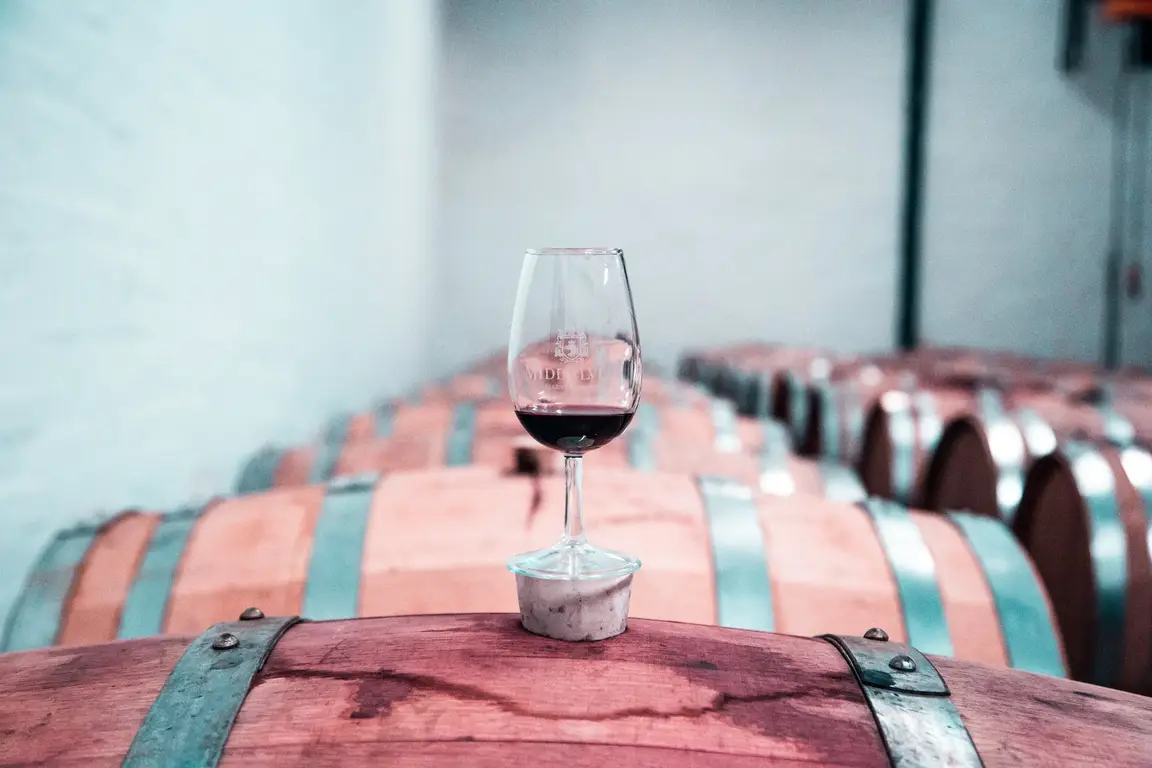 Negli ultimi anni, il vino biologico ha guadagnato sempre più popolarità